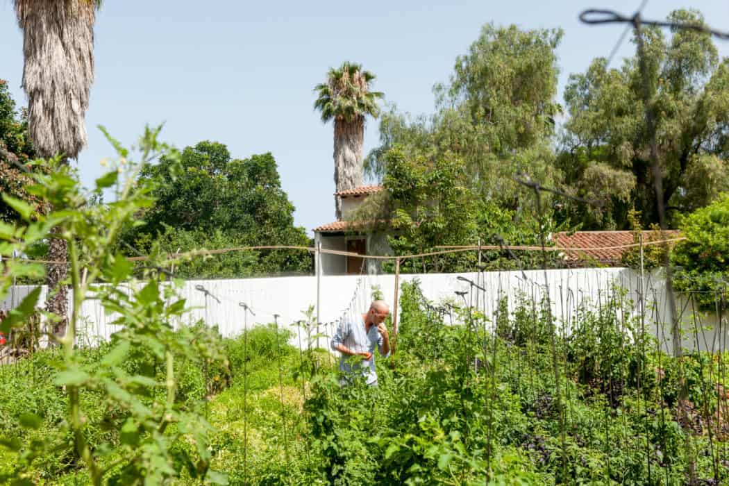 fincaelquinto-anbau bio finca
